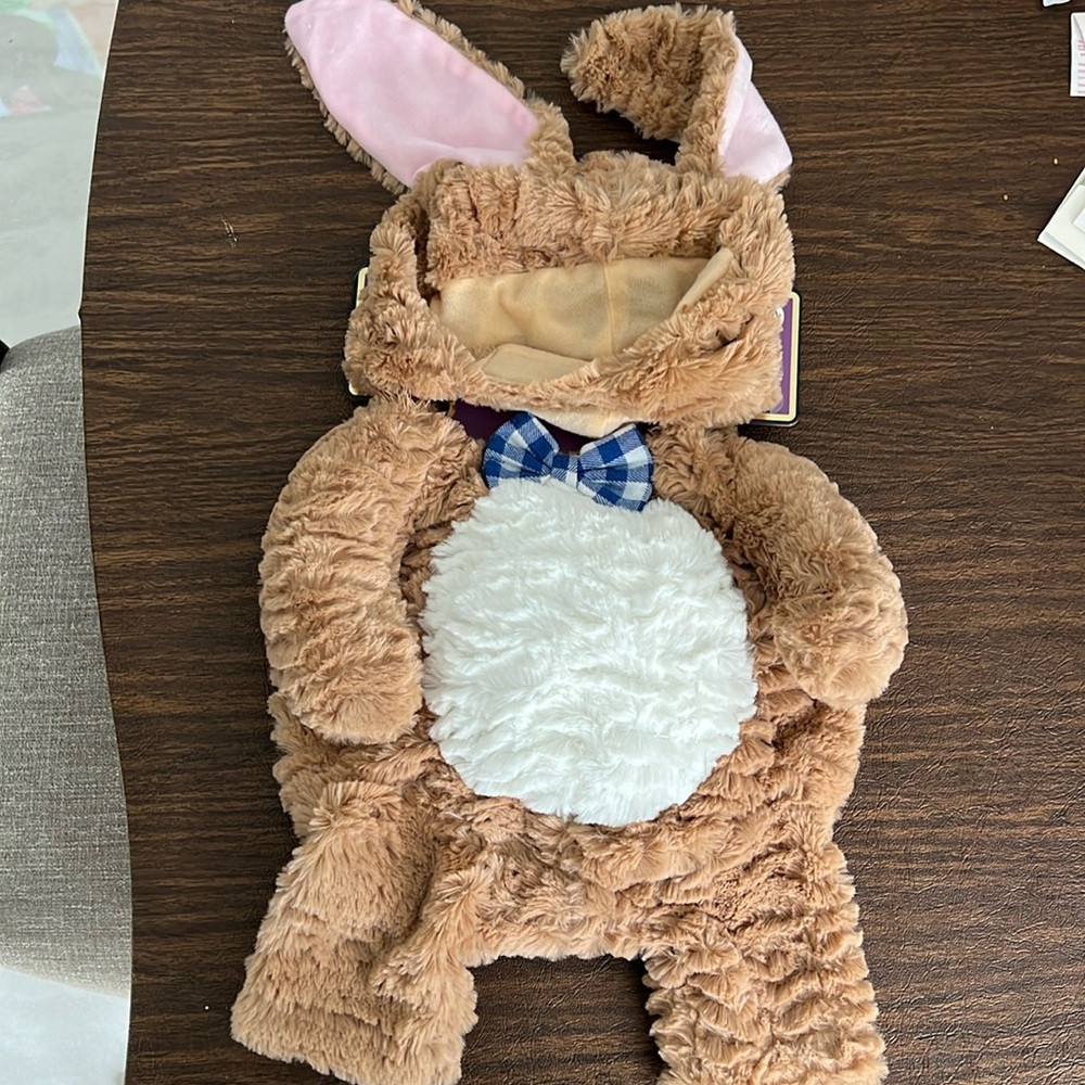 Bunny costume for your pup